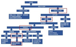 直立性高血压_直立性高血压：深入解析其机制和管理策略