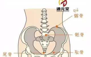 盆骨右侧疼痛_盆腔右侧疼痛：探究成因与治疗方案