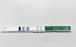 受孕几天能测出—怀孕几天能测出准确结果？