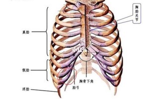 右侧肋巴疼_右侧肋骨疼痛：原因和应对策略