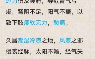 右后侧腰疼—右后侧腰疼探因寻踪，揭晓疼痛背后的秘密