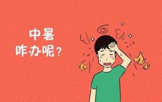 中暑名词解释_中暑： nắng nóng gây ra