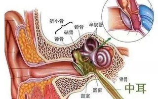 周围一圈疼怎么回事(周围隐痛：原因与应对策略)