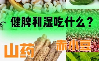 怎么去湿气(怎么去湿气提高新陈代谢)