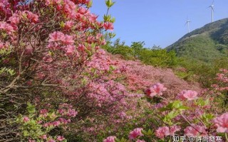 左眼一半红_半面红霞遮半眼，一帘疑云锁愁颜