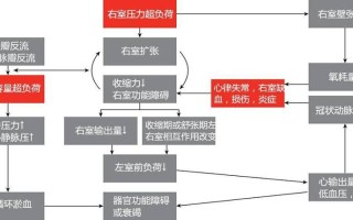 心衰的原因和发病机制—心衰成因探究与临床疗法