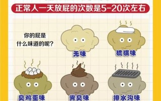 吃多放屁很臭(吃多放屁臭为什么)