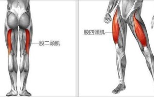 左大腿肌肉疼—大腿左侧肌肉疼痛：常见原因及有效治疗策略