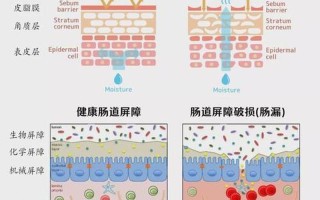 血小板低怎么调理的短视频—科学调理血小板低，提升健康屏障