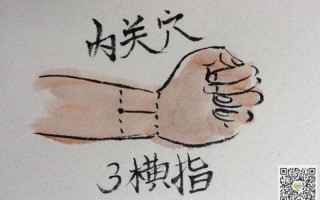 内关穴在哪(内关穴：掌心三寸惊厥消)