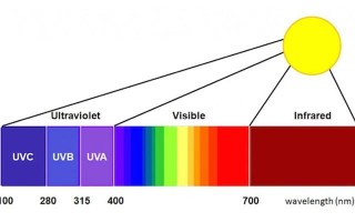 紫外线的波长—紫外波长与生物效应的探索
