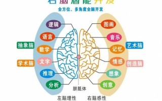 右脑有时候发麻(右脑麻痹之谜：短暂发麻的深层秘密)