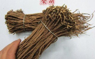 治胆囊炎的更佳药中药有哪些—更佳治胆囊炎良药：解痛消炎，恢复健康