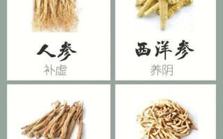 人参的更佳搭配_人参更佳良伴：搭配妙方事半功倍