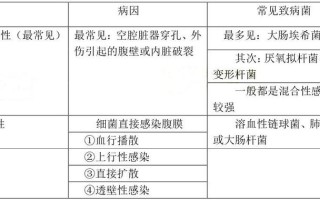 原发性腹膜炎—揭秘原发性腹膜炎：病因、症状与诊治