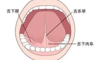 左舌头根疼一侧肿疼怎么回事吃什么药_根源之痛：左舌根难消之谜