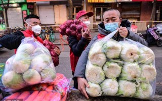 长春送菜视频(长春送菜哥”传递人间温暖，架起爱心桥梁)