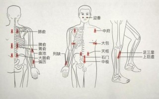 中脘位置疼(中脘痛解谜：从腹痛根源寻诊疗良方)