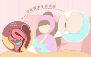 子宫强烈收缩(子宫狂澜：撼动生命的紧缩风暴)