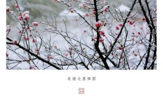 指甲里面有白色的线条_纤纤玉指，点缀白雪晶华