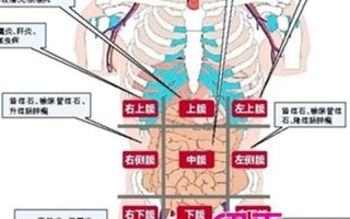 左厕旁边疼—左厕旁的隐痛：揭开难言之隐的真相