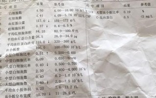 孕晚期痰带血(妊娠晚期痰中带血：征兆、原因及应对措施)