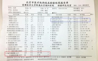 孕妇胆红素高_孕妇胆红素高是什么原因