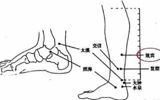 脚趾有横纹竖纹(横纹脚趾：足部健康警钟，及时检查防患于未然)