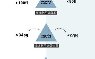 怎么判断是否贫血看哪些化验指标(巧辨贫血：识别缺铁信号)