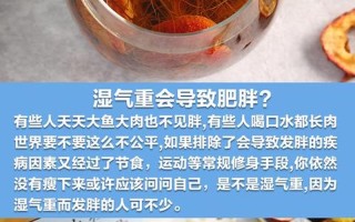 有湿气怎么调理—湿气重调理之道，祛湿养身有妙方