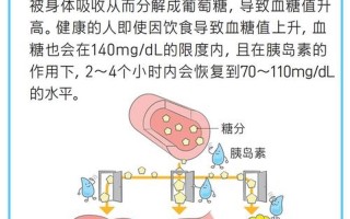 胰岛素是干什么的—胰岛素：生命之泉，稳定血糖