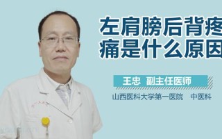 左侧后背酸痛挂什么科_左侧后背酸痛：原因、缓解 *** 和预防措施