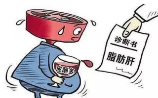 治疗脂肪肝_脂肪肝调护指南：健康护肝，远离肝病阴影