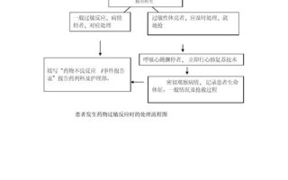 药物过敏反应—药物过敏反应的紧急处理指南