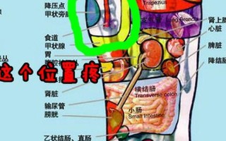 右侧脚酸疼—右脚酸疼怎么回事