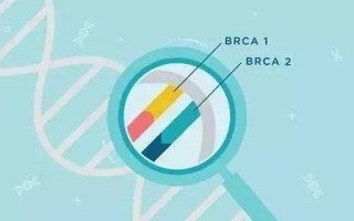 brca基因(brca基因突变)