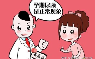 孕中期尿频正常吗—孕中期频繁如厕：正常现象还是需要关注