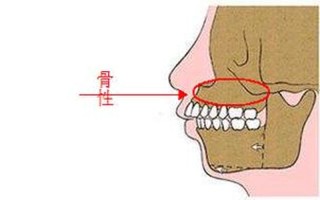 牙齿长上面了怎么下移_齿轮反转：牙齿长上了当道