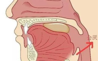 左半边肩膀疼_肩部左侧疼痛：从原因到治疗方案探究