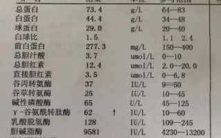 转氨酶胆红素高是怎么回事有什么危害_肝功能异常：转氨酶胆红素升高提示肝脏病变