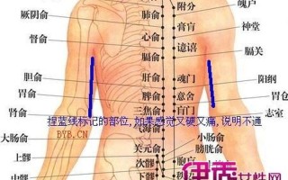 左上腹部疼—揭秘左上腹部疼痛之谜，探寻背后的根源